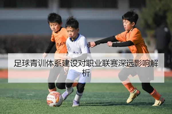 足球青训体系建设对职业联赛深远影响解析